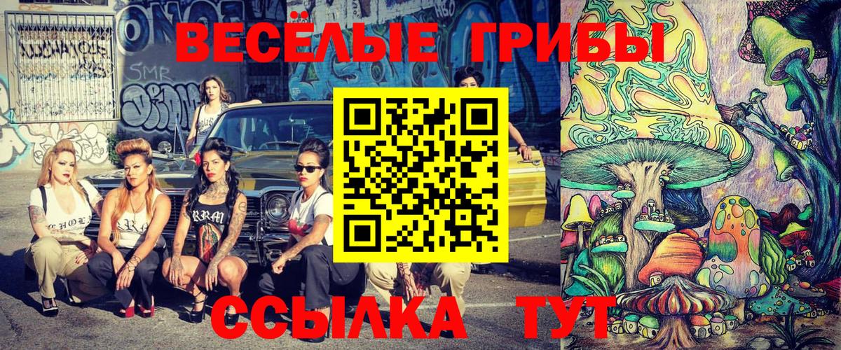 Псилоцибиновые грибы Psilocybe Домодедово