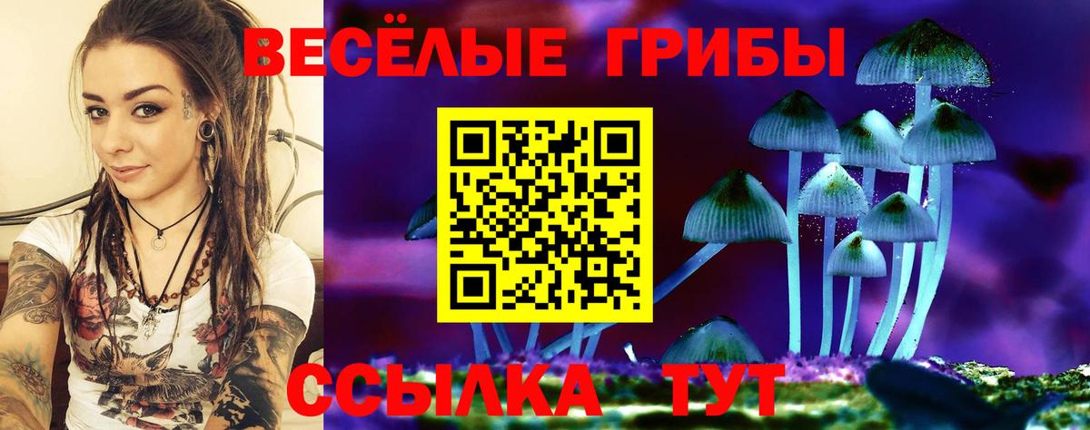 Домодедово  Псилоцибиновые грибы Cubensis  Галлюциногенные грибы Magic Shrooms  Вход с VPN 